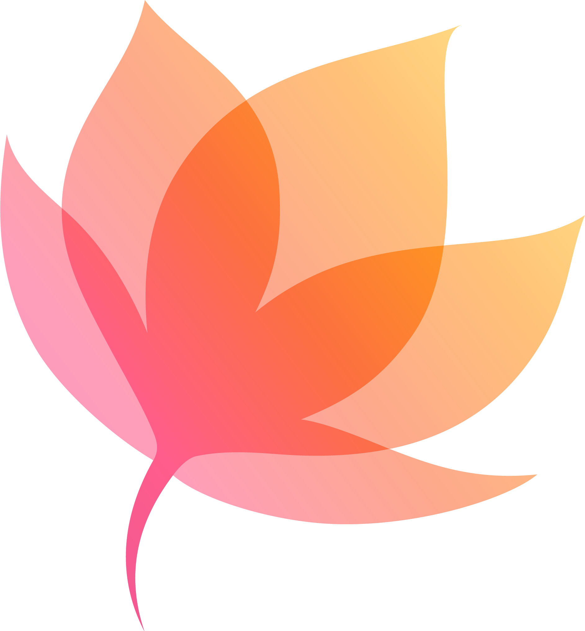 magnolia flower